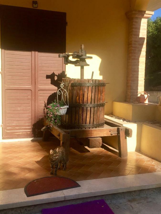 Apartamento Il Girasole Castel Ritaldi Exterior foto